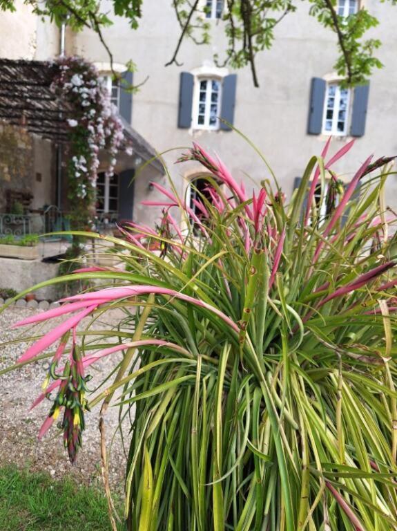 ナルボンヌ Domaine De Capoulade Bed & Breakfast エクステリア 写真